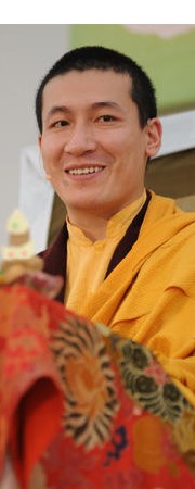 HH.17th Karmapa Trinley Thaye Dorje - the spiritual head of Diamond Way Buddhism